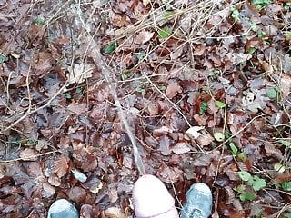 Again in the woods