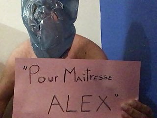 TO MAITRESSE ALEX  