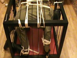 Restrained to a cage - 2