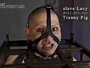 Evaluating slave Lucy - day 2 - SensualPain