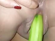 Pleasing pussy with peeled cucumber
