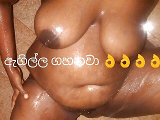 Ssri lanka house wife shetyyy black...