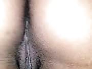 Phat Plump Pussy Stripper Two 
