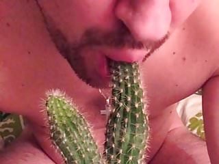 Swineboy give a cactus a bj...