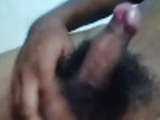 Srilankan tamil gay nude kapil