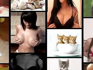 Titties and Kitties! tittiesnkitties
