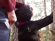 Tied to a tree , masked and outdoor bound deepthroat