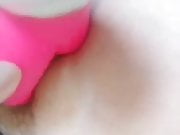 Pink vibrator in nice pussy 