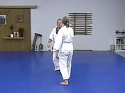 KEMPO ALMIGHTY AIKIDO KENPO