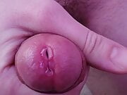 Cumming from the top with clear precum