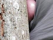slave in chastity walks outdoor and tortures his balls