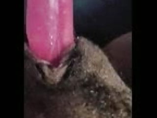 Pussy, Pussy Masturbator, Blacked Mom, Girl Pussy