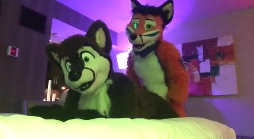 Furries - Youporn.red