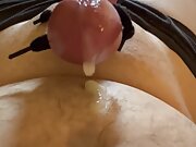 my cock my bdsm mistress lets me masturbate it on the condition of ending with a ruined orgasm, lost sperm and a small c