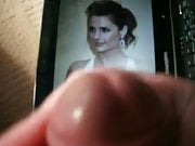 tribute to stana katic