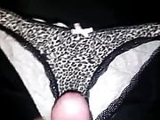 Wife's Panties