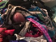 My cock covered in 32 pairs of Brittanys dirty panties 