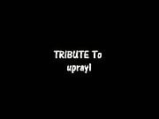 TRIBUTE To upray1