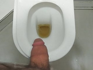 The bear boy peeing in toilet...