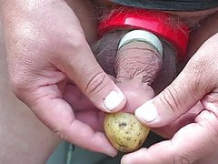 Combination - foreskin potato cock card ring balls tape roll