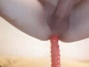 Big Red suction cup  dildo Ride