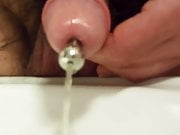 Piss and plug