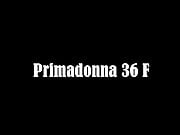 bra Primadonna 36F