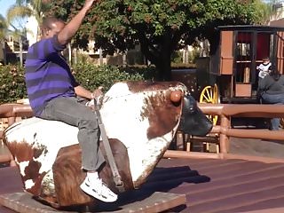 Bull Ride, Bull, Funny, HD Videos
