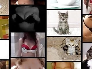 Titties and Kitties! tittiesnkitties