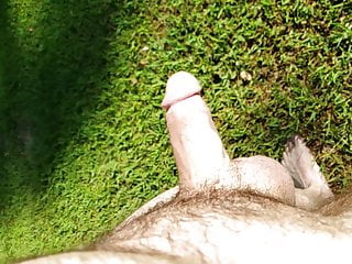 Outdoor slow motion cock wagging...