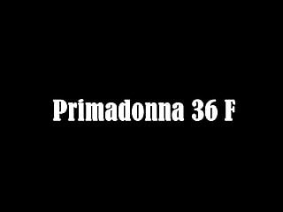 bra Primadonna 36F