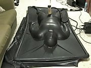 Vacbed being milked by venus 2000