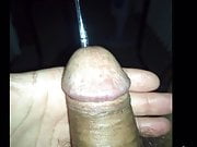 Urethral Cock Sounding Photos