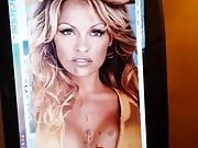 Pamela Anderson - Cum Tribute 1