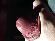 precum